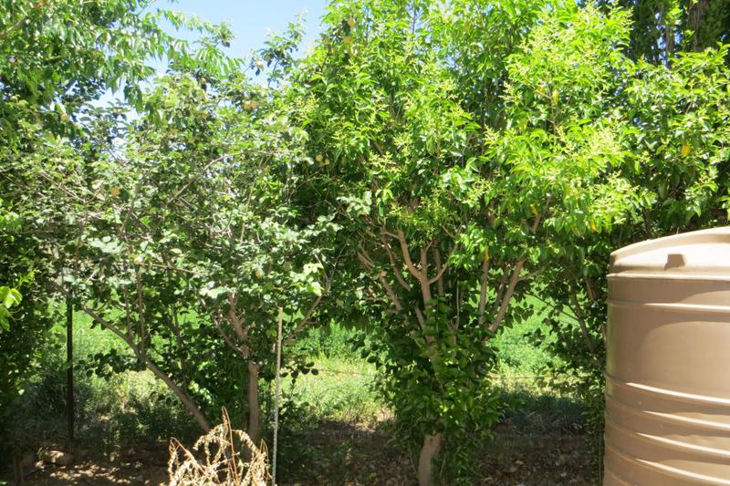 3 Bedroom Property for Sale in Nieu Bethesda Eastern Cape